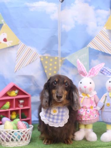 20240308ここあくん